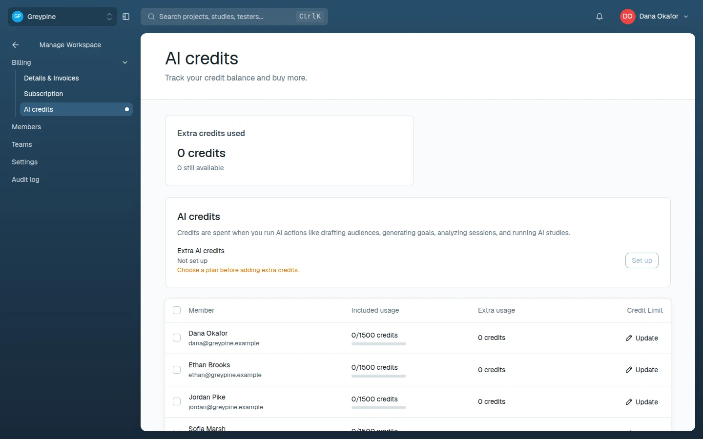 AI credits page with extra-credit usage and per-member allowances